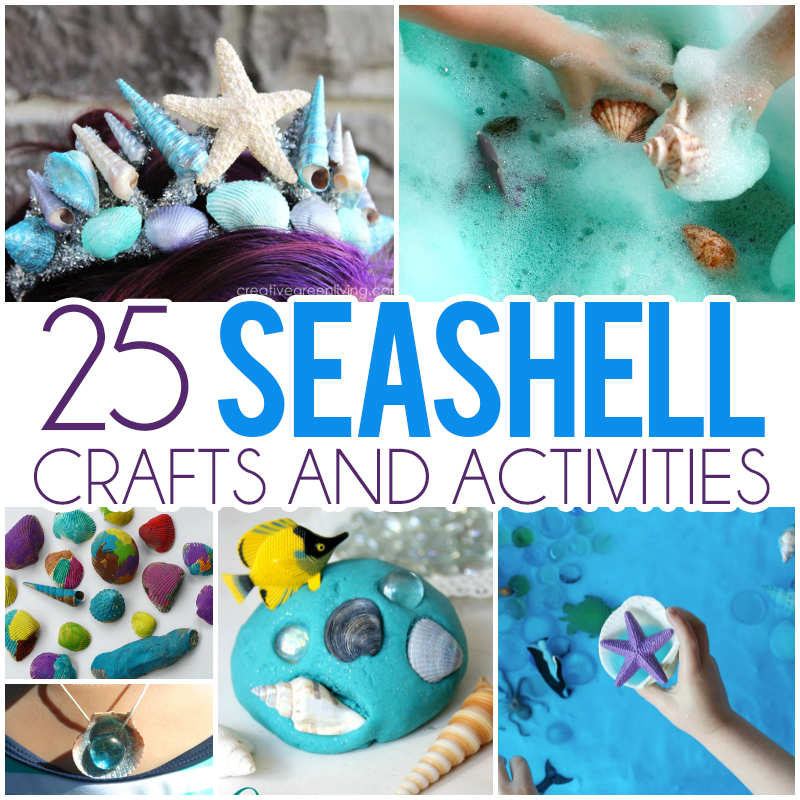 25 Seashell Crafts & Activities For Kids