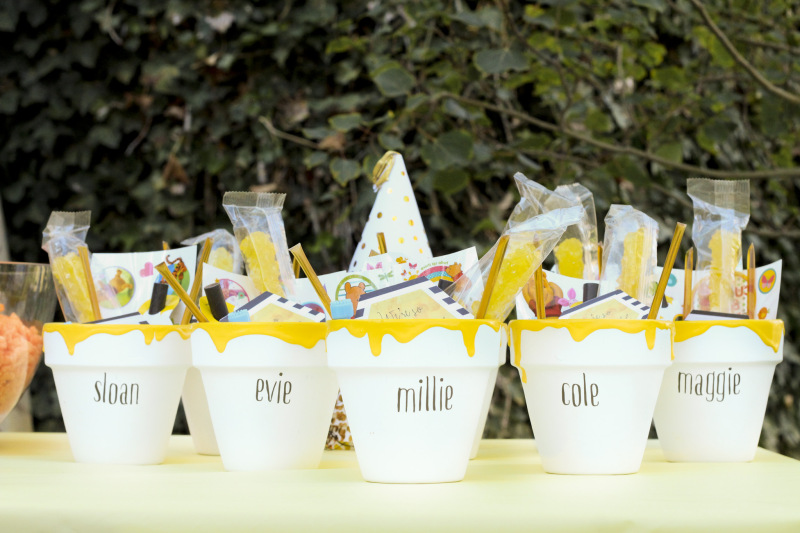 10 Totally Awesome Toddler Birthday Party Themes