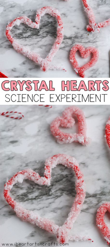 Make these growing crystal hearts for Valentine's Day using just a few supplies! The kids will love this easy Crystal Heart Science Experiment that they can do right at home.