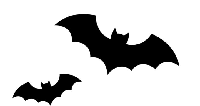 Bat Template Printable